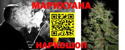шишки Аша