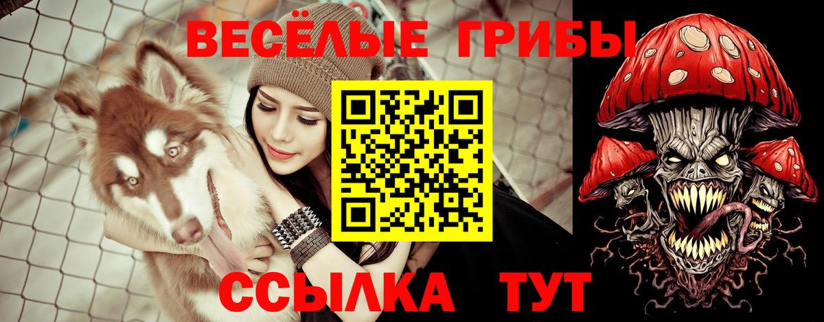 Находка  Галлюциногенные грибы мицелий  Вход с VPN 