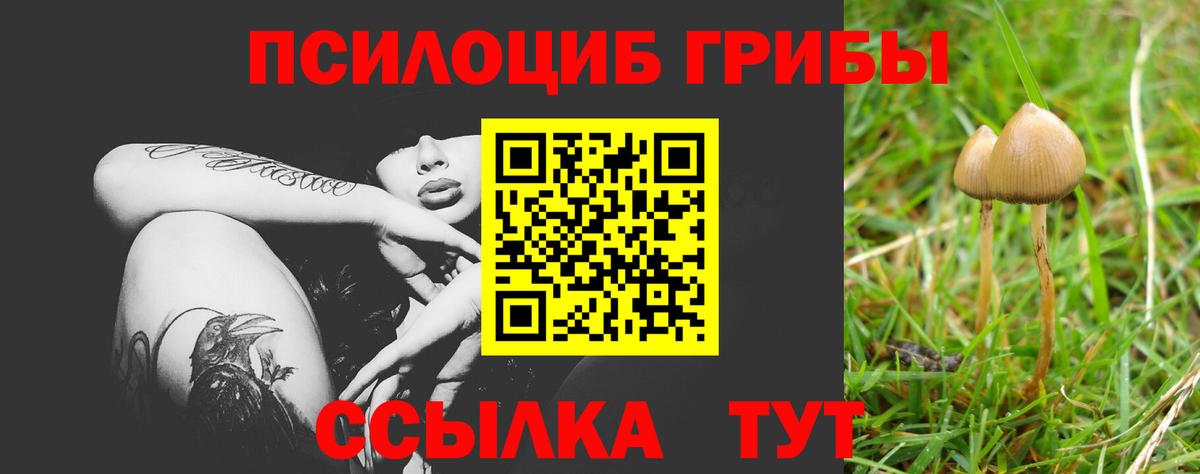 Псилоцибиновые грибы прущие грибы Находка
